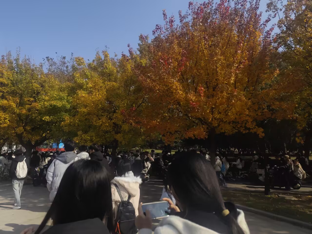 秋日校园