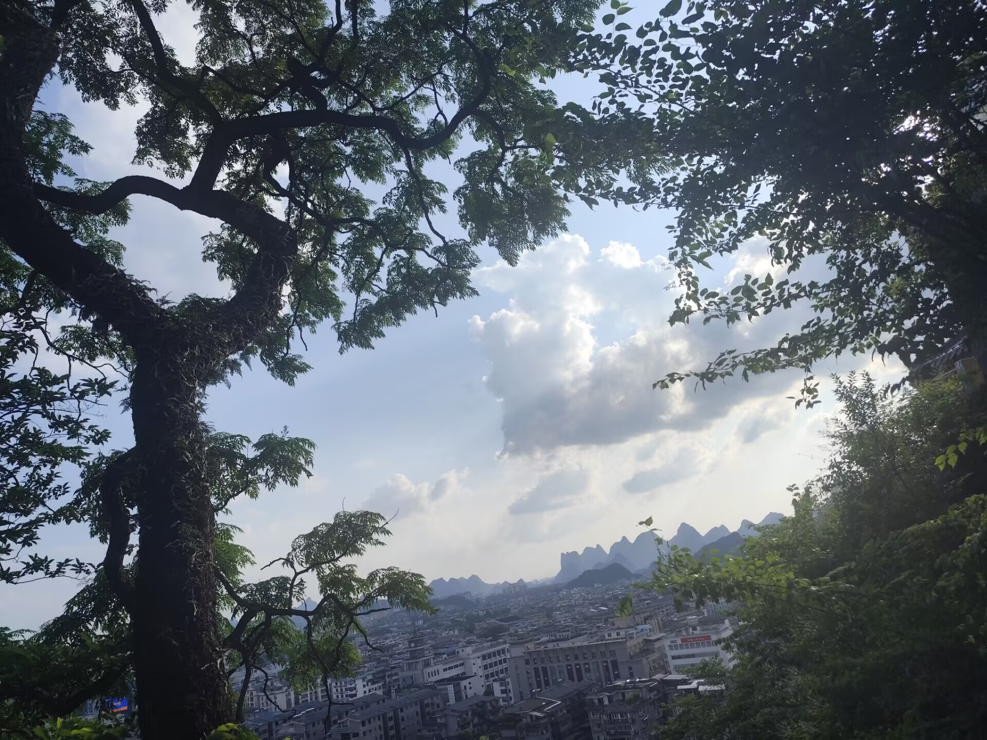 远处的城市与山