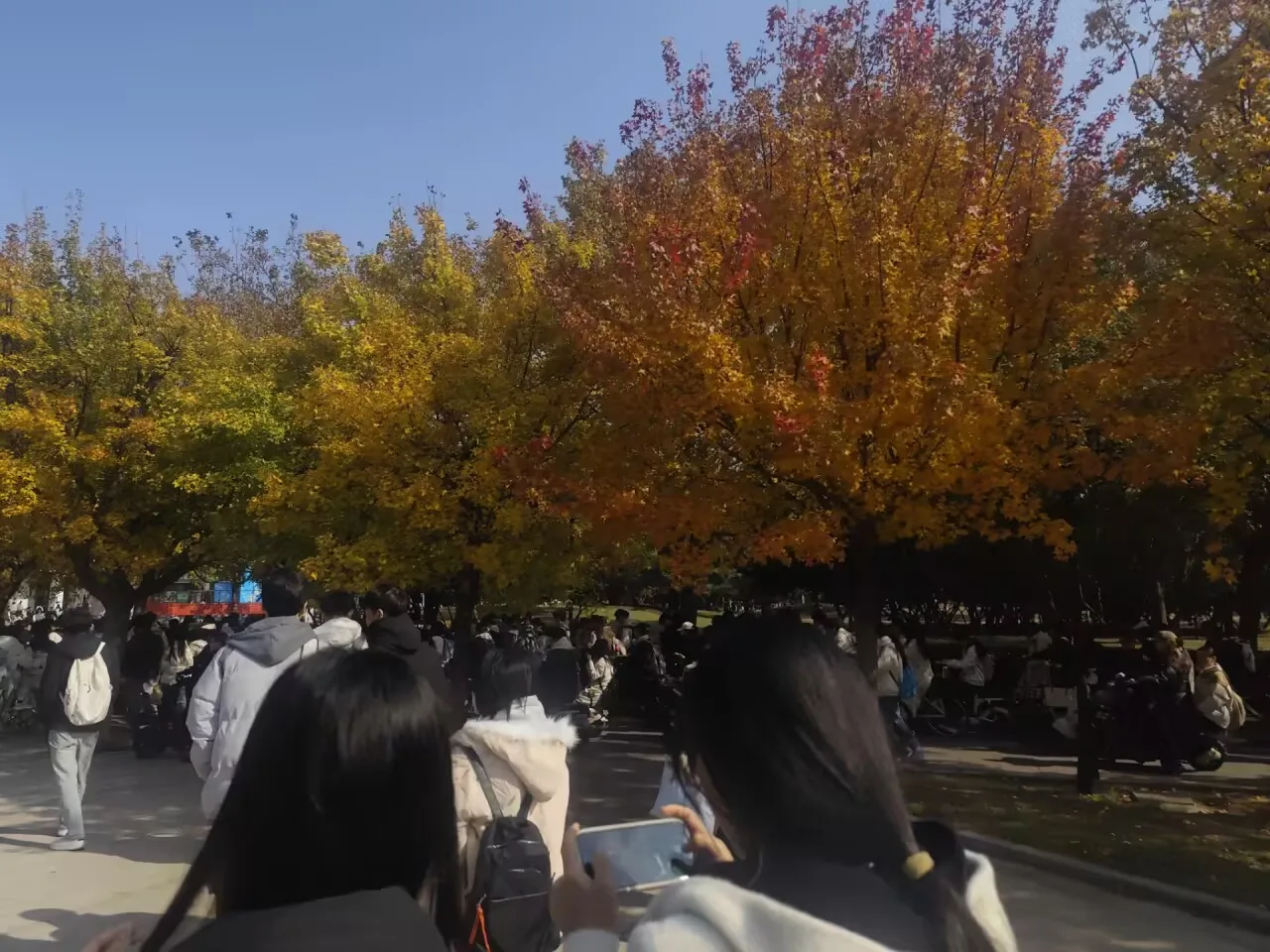 秋日校园